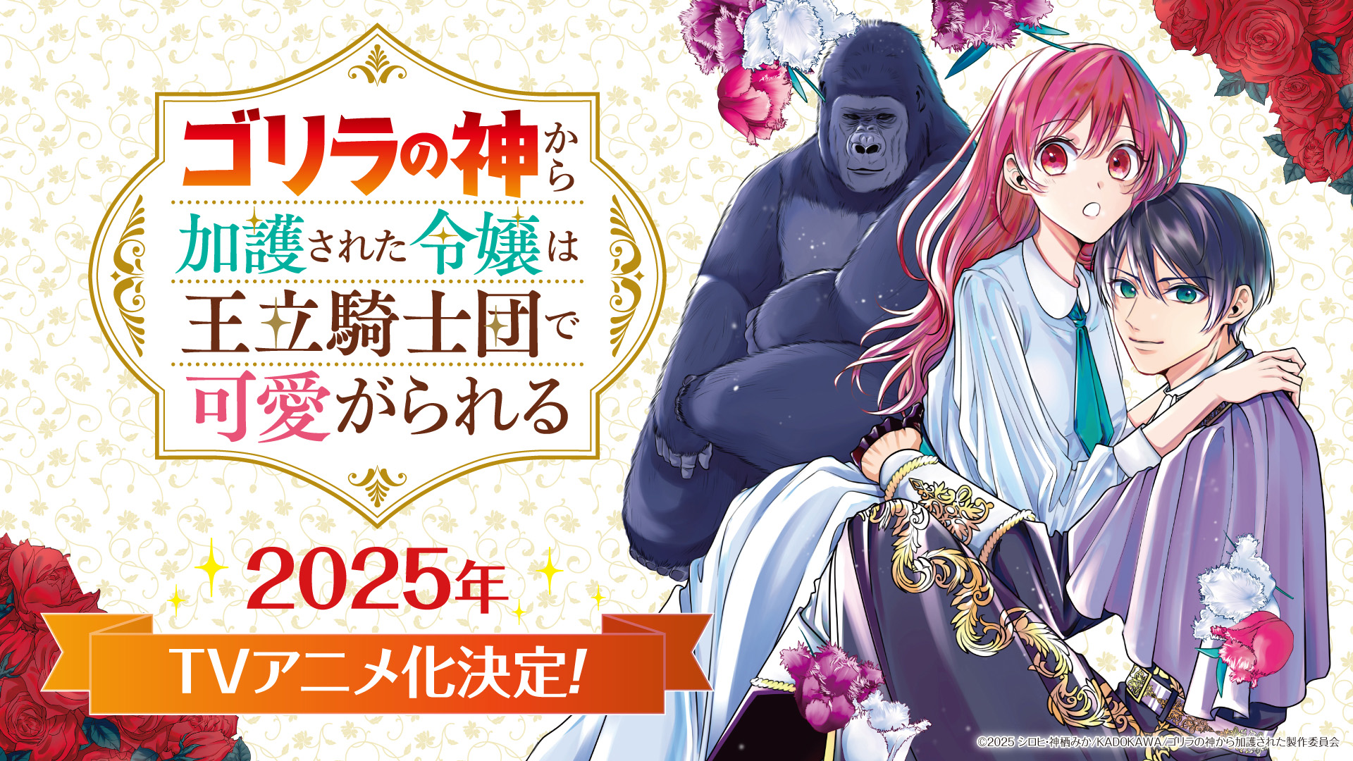 El manga Gorilla no Kami Kara Kago Sareta Reijō wa Ōritsu Kishidan de Kawaiigareru tendrá anime de TV en 2025